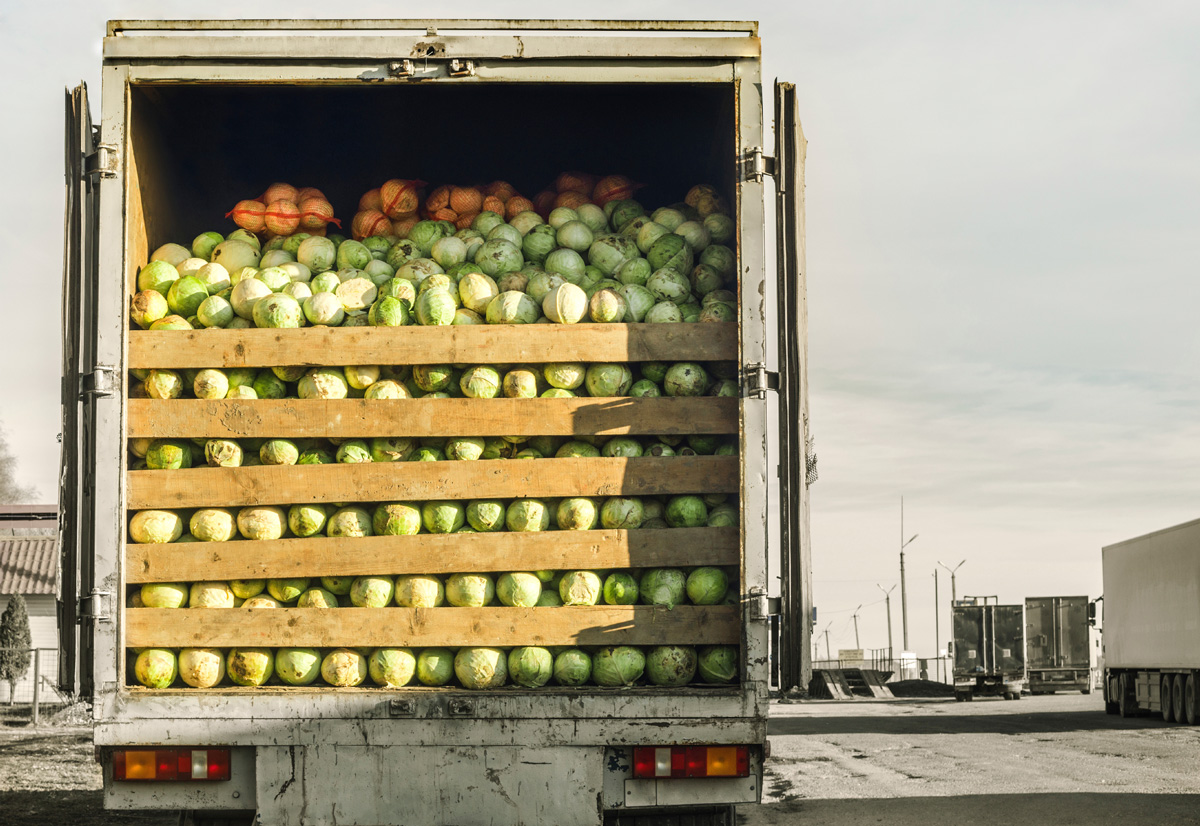 Product Seasonality