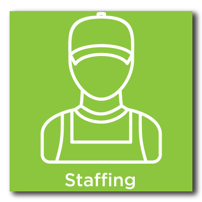 Staffing Icon green background